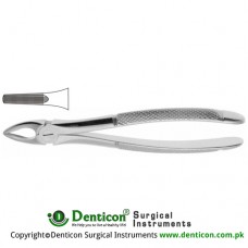 English Pattern Tooth Extracting Forcep Fig. 29 (For Upper Roots) Stainless Steel, Standard